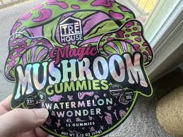 Psychedelic Indeed We Tripped on Legal Magic Mushroom