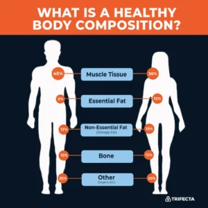 Achieving Optimal Body Composition Through Exercise A Guide