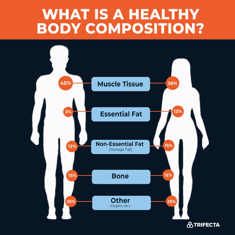 Achieving Optimal Body Composition Through Exercise A Guide