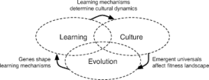 Cultural and Linguistic Evolution