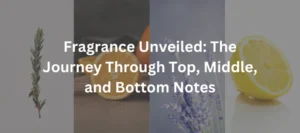 Fragrance Notes Unveiled