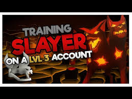 Steps to Start Training Slayer