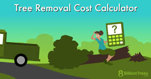 Tree Removal Cost Calculator for Every Tree Type & Discount Trick