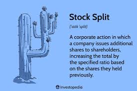 What Is A Stock Split Why Do Companies Split Their Stock