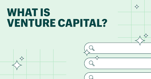 What Is a Venture Capitalist?