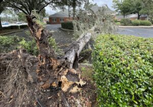 Hurricane Idalia Alachua County Unscathed, Big Bend Devastated